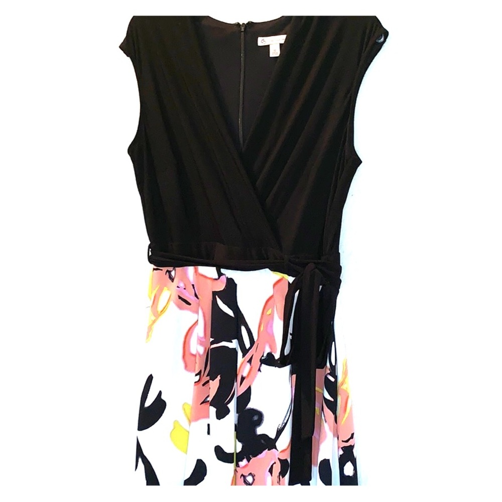 Woman Dress size 12